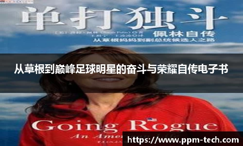 从草根到巅峰足球明星的奋斗与荣耀自传电子书